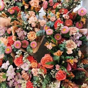 Meet your Posher, Stephanie